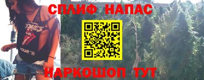дживик Нальчик